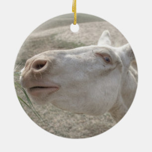 Ornamento De Cerâmica Burro Branco Austríaco-Húngaro