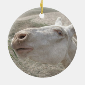 Ornamento De Cerâmica Burro Branco Austríaco-Húngaro