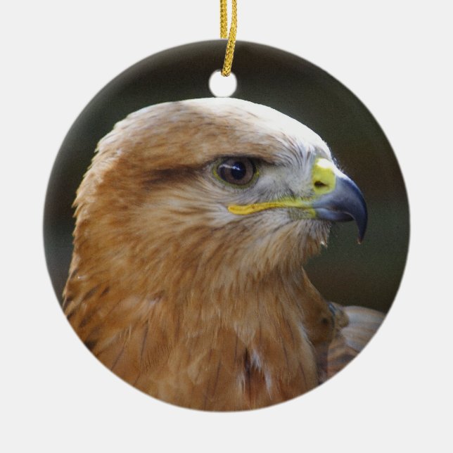 Ornamento De Cerâmica Buzzard de pernas longas (Frente)