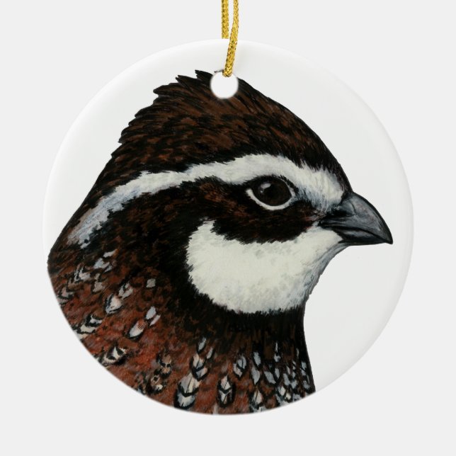 Ornamento De Cerâmica Cabeça de Codorna Bobwhite (Frente)