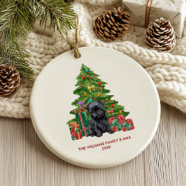 Ornamento De Cerâmica Cachorro Affenpinscher Personalizado Natal