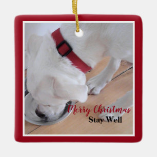 Ornamento De Cerâmica Cachorro Branco Bebendo Água Praça de Natal Verm