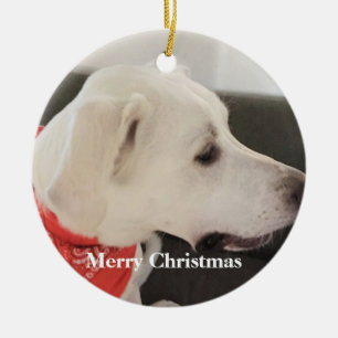 Ornamento De Cerâmica Cachorro Branco Bonito Vestindo Caçador de Natal S