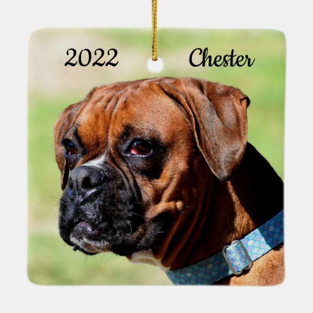 Ornamento De Cerâmica Cachorro-branco-marrom (Verso)