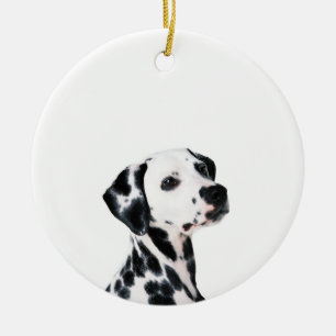 Ornamento De Cerâmica Cachorro Dalmaciano