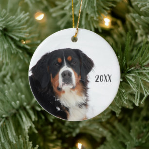 Ornamento De Cerâmica Cachorro de Montanha Bernese Personalizável