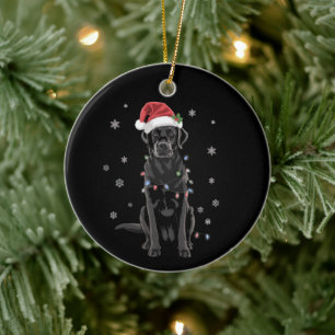 Ornamento De Cerâmica Cachorro de pijama com luz de árvore de Natal Labr