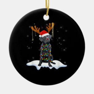 Ornamento De Cerâmica Cachorro de pijama com luzes de árvore de Natal La