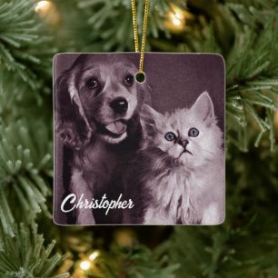 Ornamento De Cerâmica Cachorro e Gato, Procurando Personalizado
