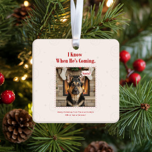 Ornamento De Cerâmica Cachorro Engraçado Pet Foto Natal Férias