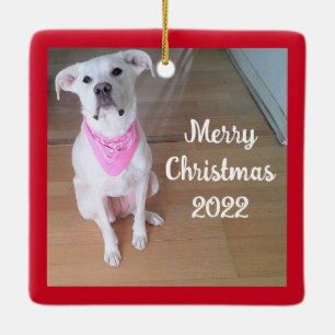 Ornamento De Cerâmica Cachorro Feliz e Bonito Vestindo Vermelho Rosa Sca