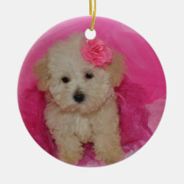 Ornamento De Cerâmica Cachorro Maltipoo