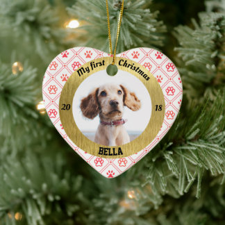 Ornamento De Cerâmica Cachorro Meu Primeiro Nome De Foto Para Cachorro D