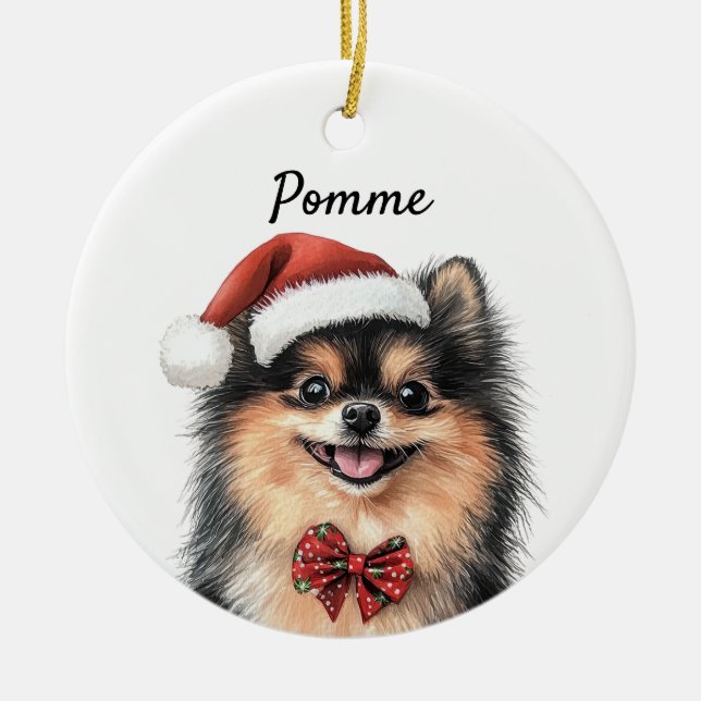 Ornamento De Cerâmica Cachorro Pomerânia Personalizado  (Frente)