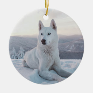 Ornamento De Cerâmica Cachorro Rouco branco entalando na neve