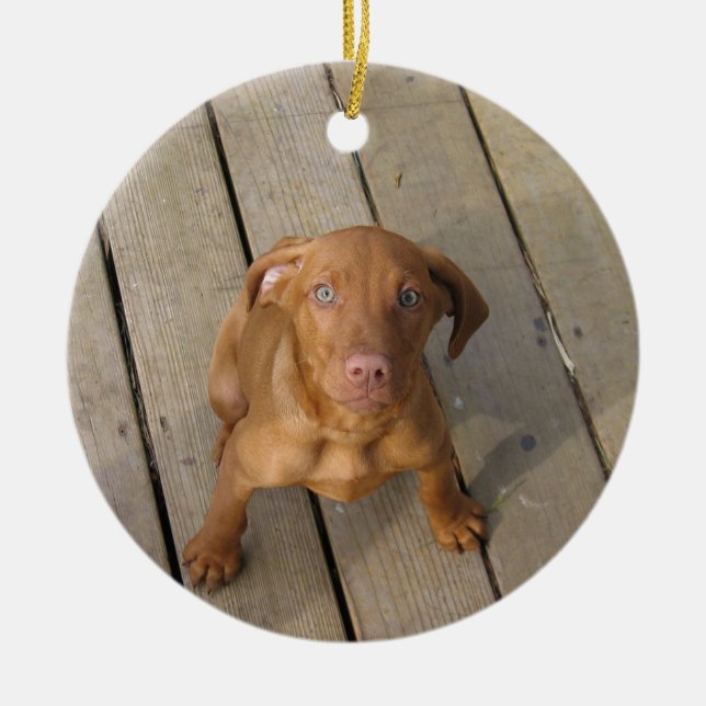 Ornamento De Cerâmica cachorro vizsla (Frente)