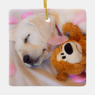 Ornamento De Cerâmica Cachorros de pãozinho 02