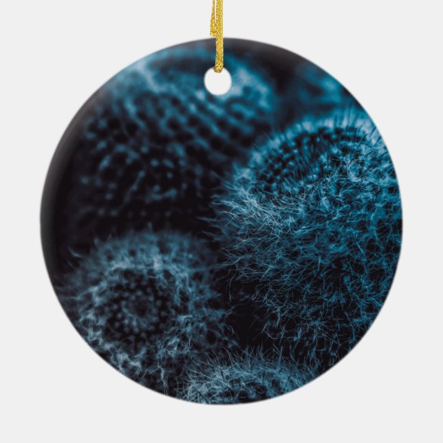 Ornamento De Cerâmica Cacto Escuro (Traseira)