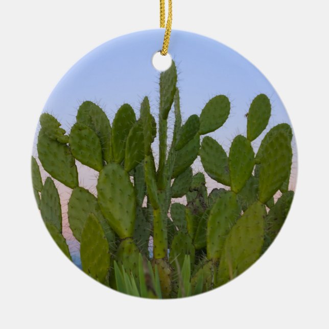 Ornamento De Cerâmica Cactos e sisal na Floresta Seca (Frente)