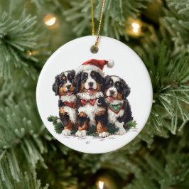 Ornamento De Cerâmica Cães Berneses de Natal