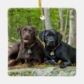 Ornamento De Cerâmica Cães Cachorros Cachorros Puppies Black Lab Chocola