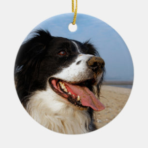 Ornamento De Cerâmica Cães felizes na praia
