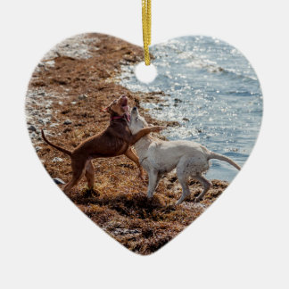 Ornamento De Cerâmica Cães na praia