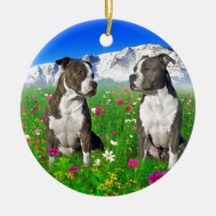 Ornamento De Cerâmica Cães rajados & azuis de Staffordshire & de pitbul