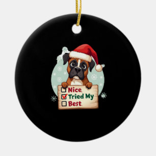 Ornamento De Cerâmica Caixa de cachorro fofo de Natal Legal Tentei o meu