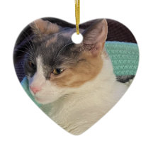 Calico Cat na Cat Bed