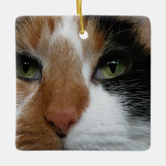 Ornamento De Cerâmica Calico Cat Ornament (Frente)