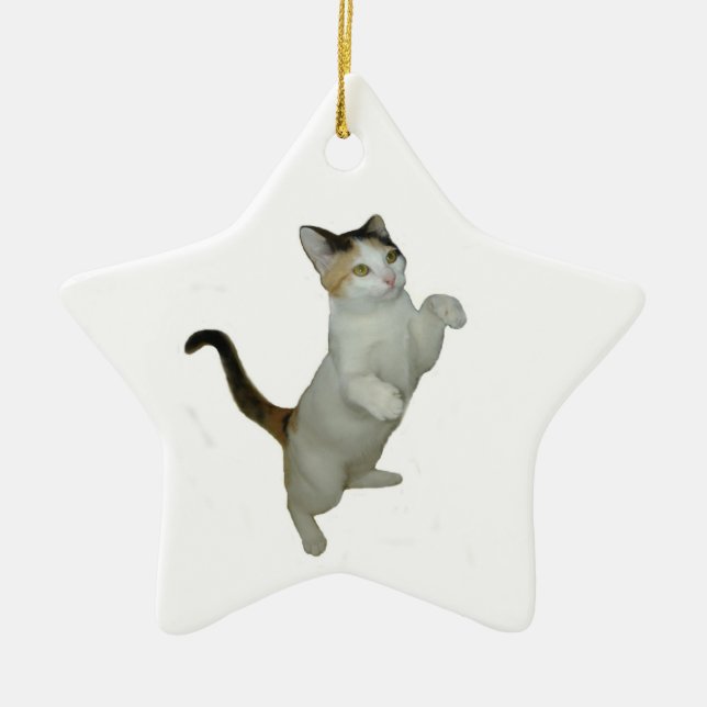 Ornamento De Cerâmica Calico Cat Sit Up Ornament (Frente)