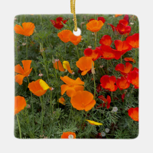 Ornamento De Cerâmica California Poppy