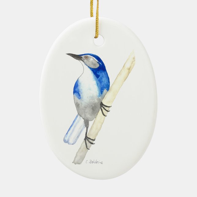 Ornamento De Cerâmica California Scrub Jay (Verso)