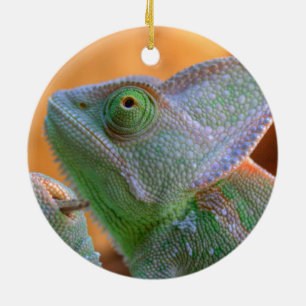 Ornamento De Cerâmica Camaleão velado relaxado