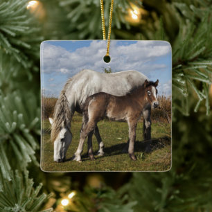 Ornamento De Cerâmica Camargue Horse Foal com Mãe