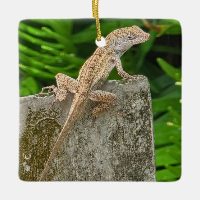 Ornamento De Cerâmica Camouflage Master (Frente)