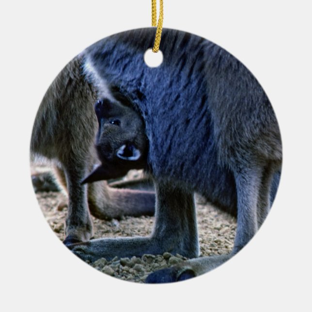 Ornamento De Cerâmica Canguru bebê na bolsa da mãe - Austrália (Frente)