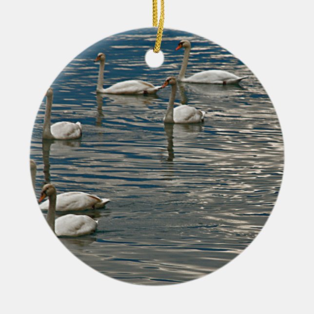 Ornamento De Cerâmica Canto do Cisne (Frente)