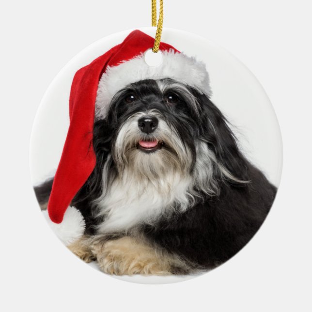 Ornamento De Cerâmica Cão bonito de Havanese do Natal com chapéu do (Frente)