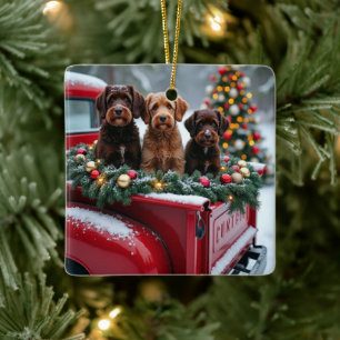 Ornamento De Cerâmica Cão de Água Português Caminhão Vermelho de Natal F