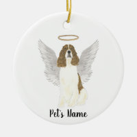 Cão de Caça Springer Spaniel Inglês Fígado Vermelh