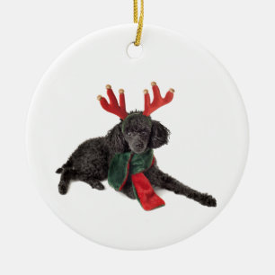 Ornamento De Cerâmica Cão de caniche preto do brinquedo do Natal vestid