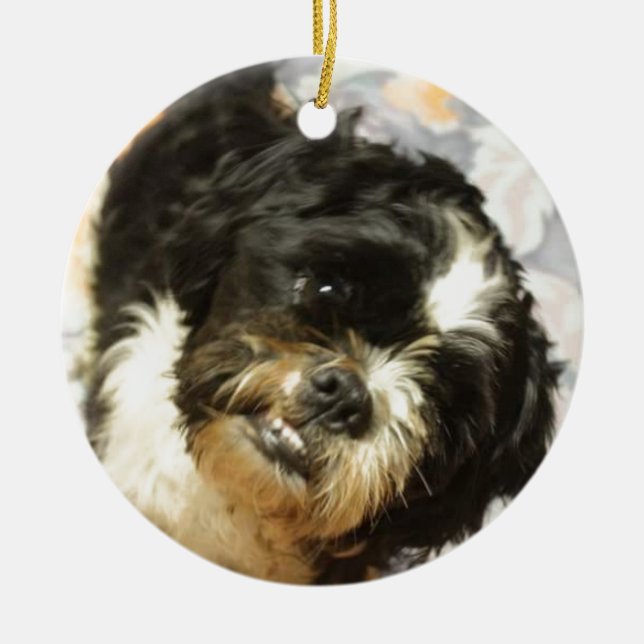 Ornamento De Cerâmica Cão de FB_IMG_1481505521015 Shitzu (Frente)