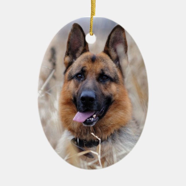 Ornamento De Cerâmica Cão de german shepherd (Frente)