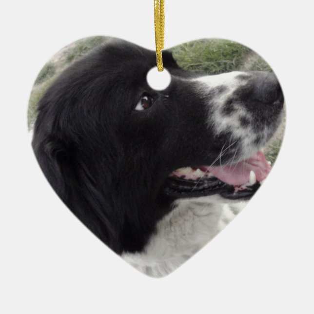 Ornamento De Cerâmica Cão de pastor búlgaro de Sara (Frente)