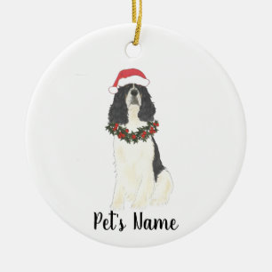 Ornamento De Cerâmica Cão de Springer Spaniel Inglês Tricolor Natal