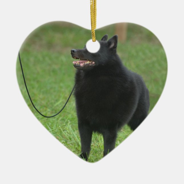 Ornamento De Cerâmica Cão do Schipperke (Frente)