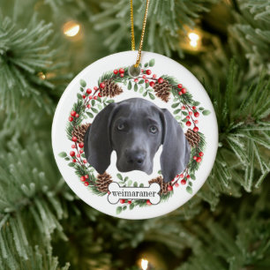 Ornamento De Cerâmica cão do weimaraner