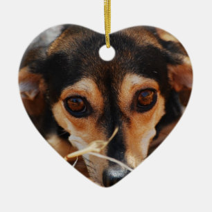 Ornamento De Cerâmica Cão doce deitado no feno